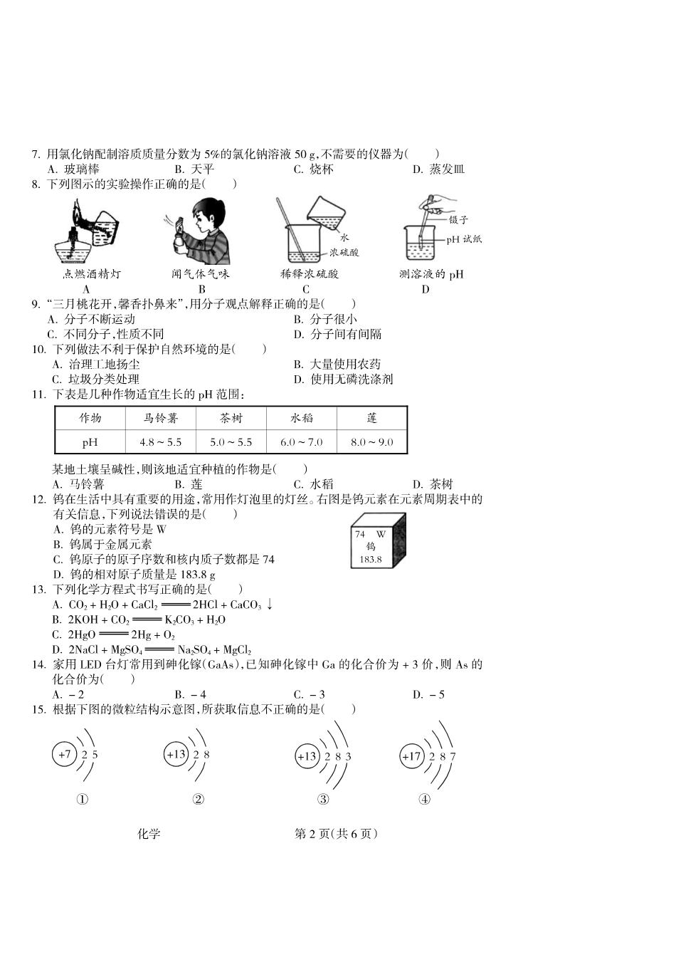 九年级化学下学期学业考查结业考试试卷(pdf) 新人教版试卷_第2页