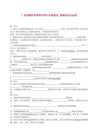 九年级政治 易错知识点总结试卷