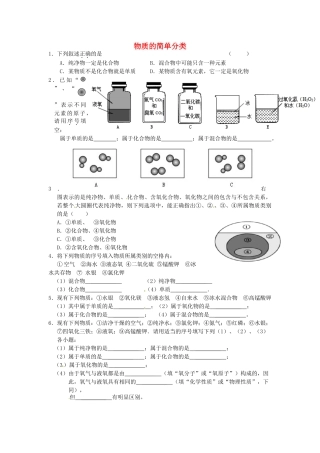 九年级化学上册 专题突破训练 物质的简单分类 新人教版试卷