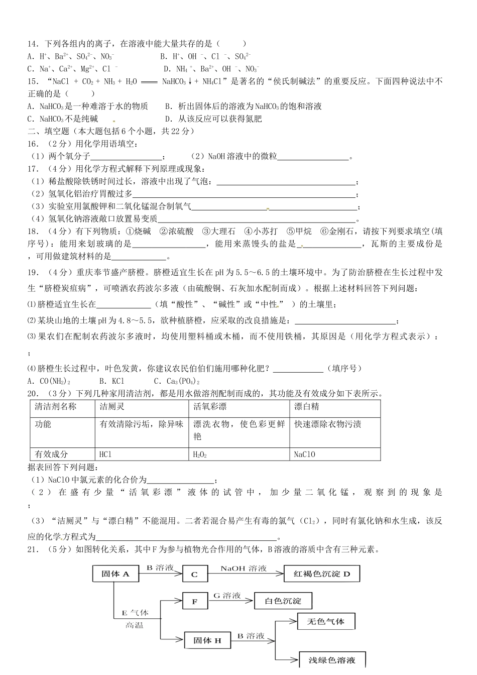 九年级化学上册(酸碱盐)检测题 新人教版试卷_第2页