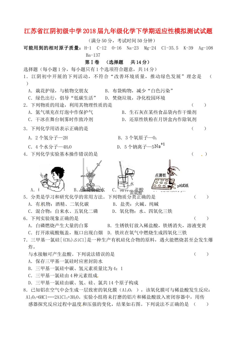 九年级化学下学期适应性模拟测试试卷_第1页