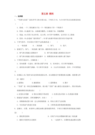 九年级化学上册 第五章 燃料单元整合特训(新版)粤教版试卷