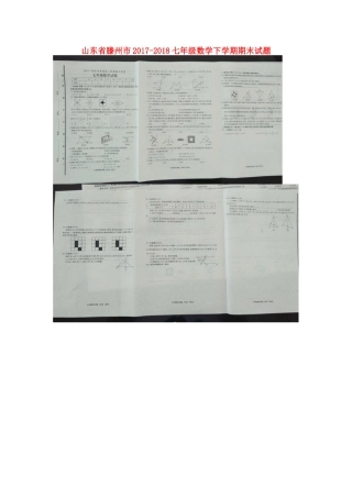 山东省滕州市-七年级数学下学期期末试卷北师大版 山东省滕州市-七年级数学下学期期末试卷北师大版