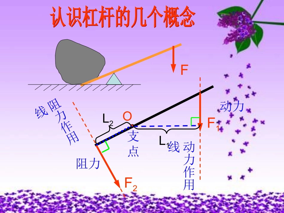 杠杆-滑轮小结_第3页