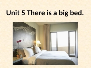 Unit5Thereisabigbed
