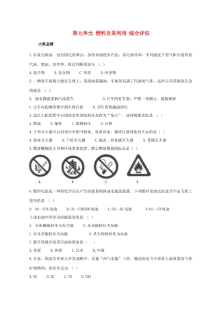九年级化学 第七单元 燃料及其利用 综合评估人教新课标版试卷