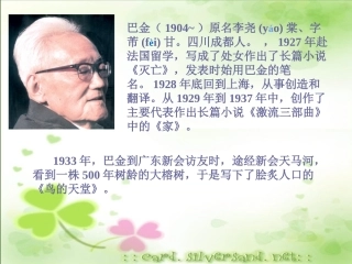 《鸟的天堂》ppt课件