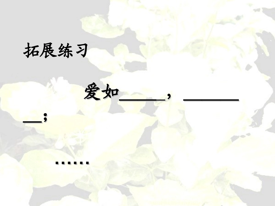 爱如茉莉课件ppt_第3页