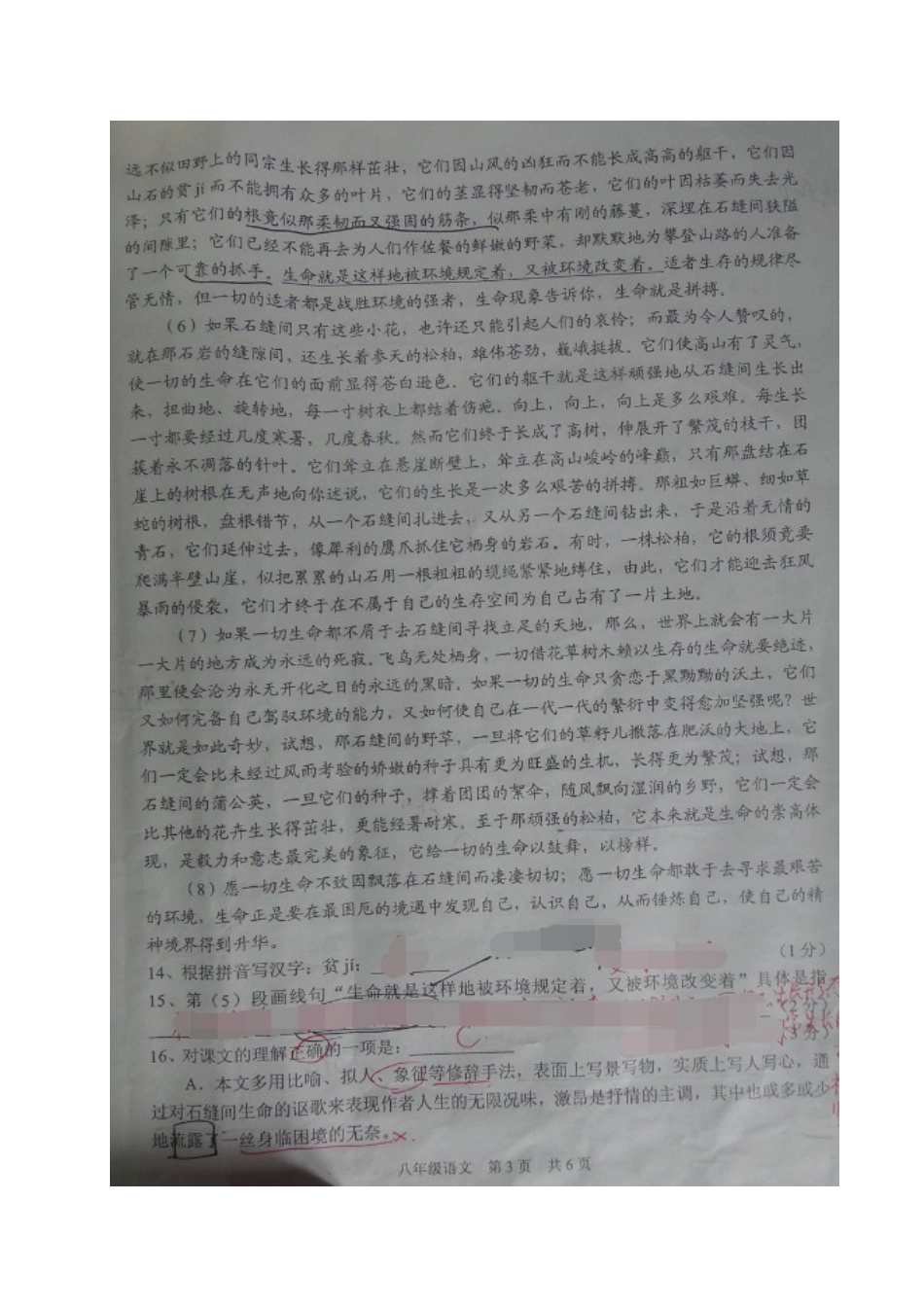 南校 八年级语文10月教学质量自主调研试卷 沪教版五四制试卷_第3页