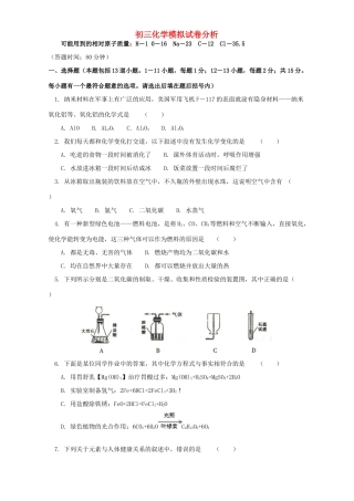 初三化学模拟试卷分析 上海科技版 试题