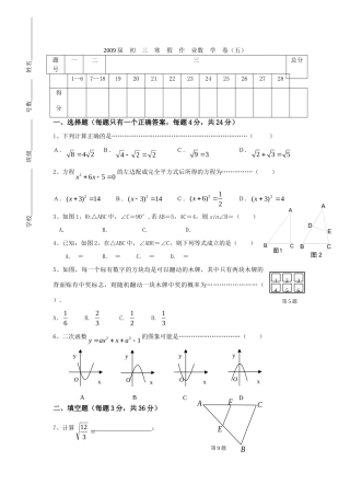 九年级数学寒假作业(五) 华东师大版试卷