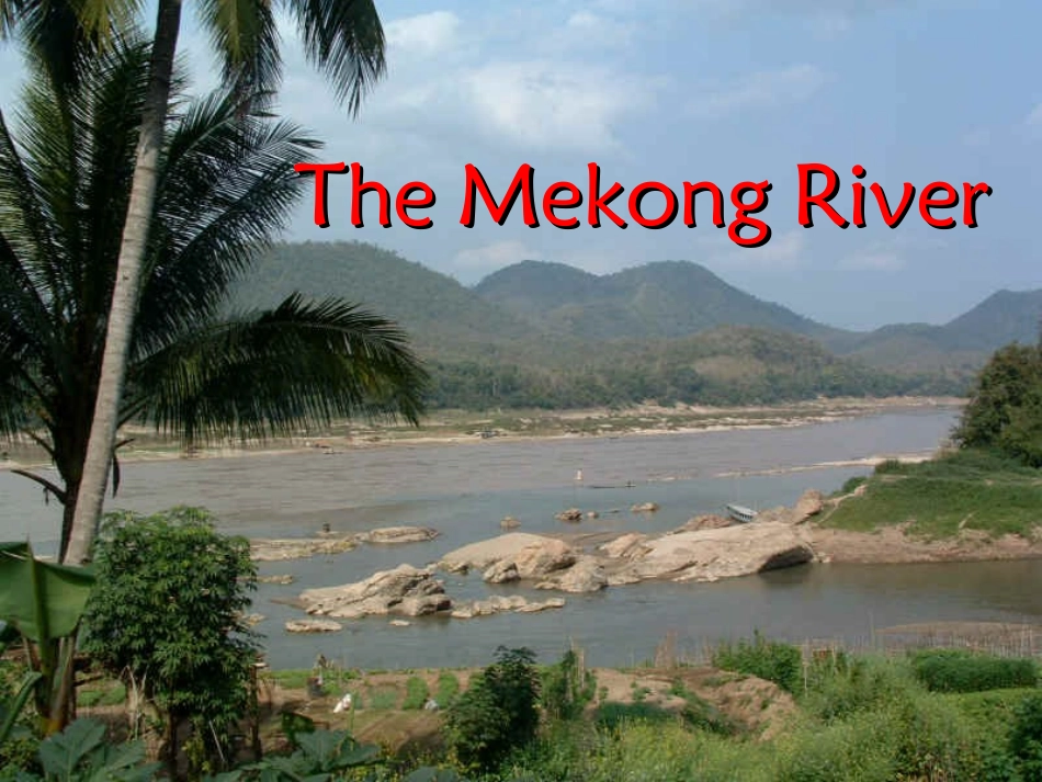 必修1Unit3UsingLanguage_第2页