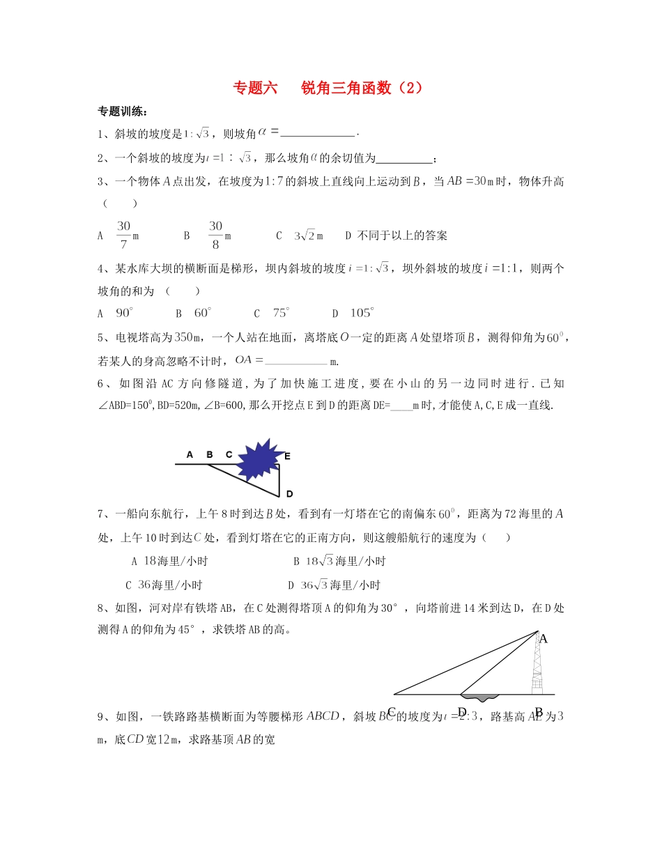 九年级数学 寒假作业 专题六 锐角三角函数(2)试卷_第1页