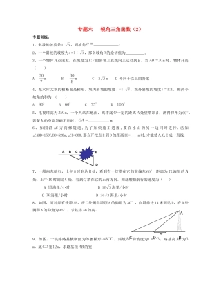 九年级数学 寒假作业 专题六 锐角三角函数(2)试卷