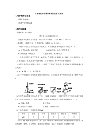 九年级化学结课考前模拟试卷 天津版试卷