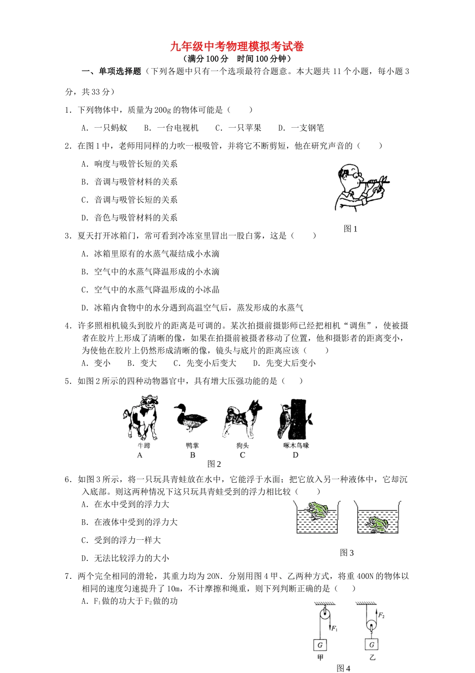 九年级中考物理模拟考试卷试卷_第1页
