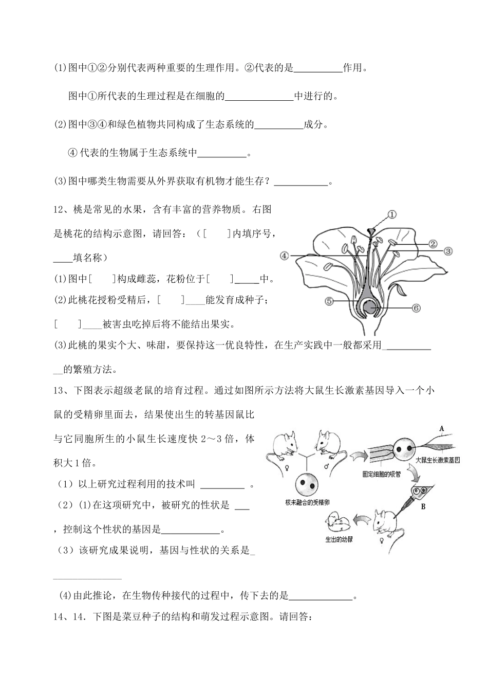 中考生物模拟试卷(3) 1试卷_第3页