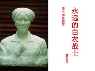 11.永远的白衣战士-(第二课时)