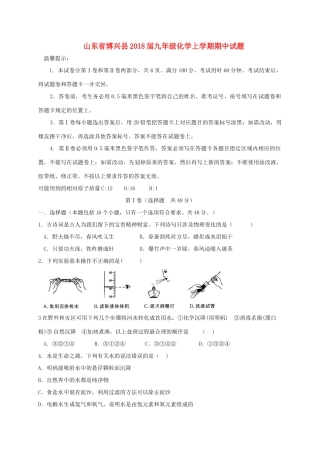 山东省博兴县九年级化学上学期期中试卷