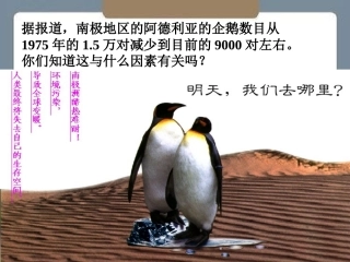 2.4《全球气候变化》课件1