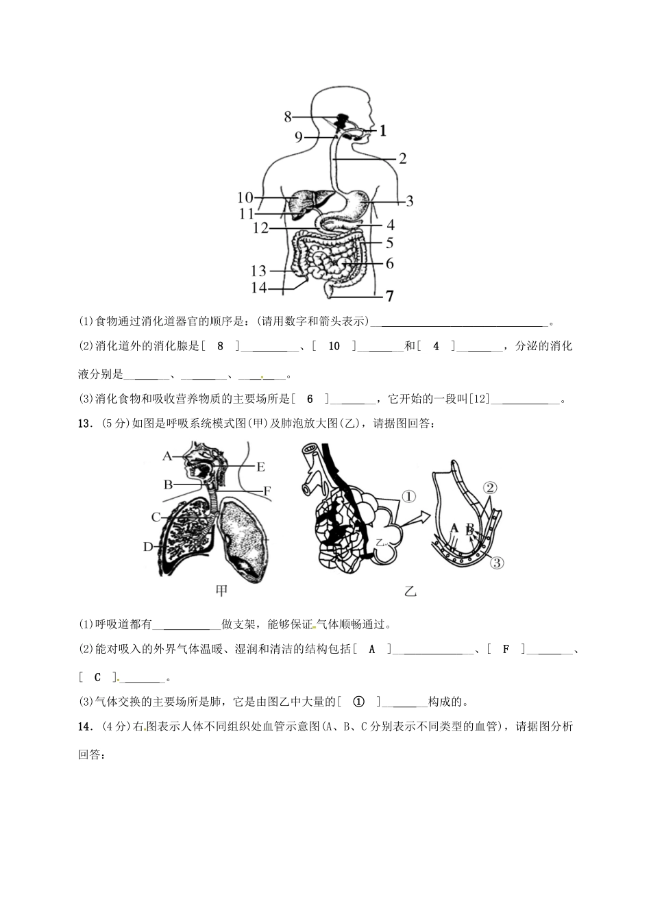 北京市昌平临川育人学校七年级生物下学期期中试题 新人教版 试题_第3页