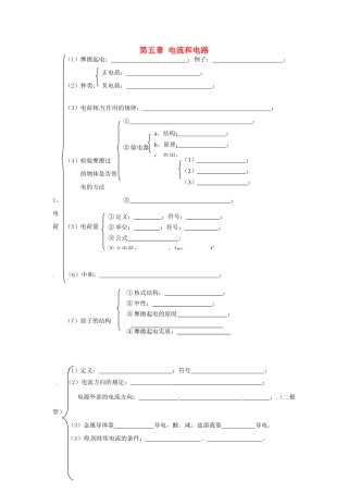 中考物理总复习 知识网络 第五章 电流和电路试卷