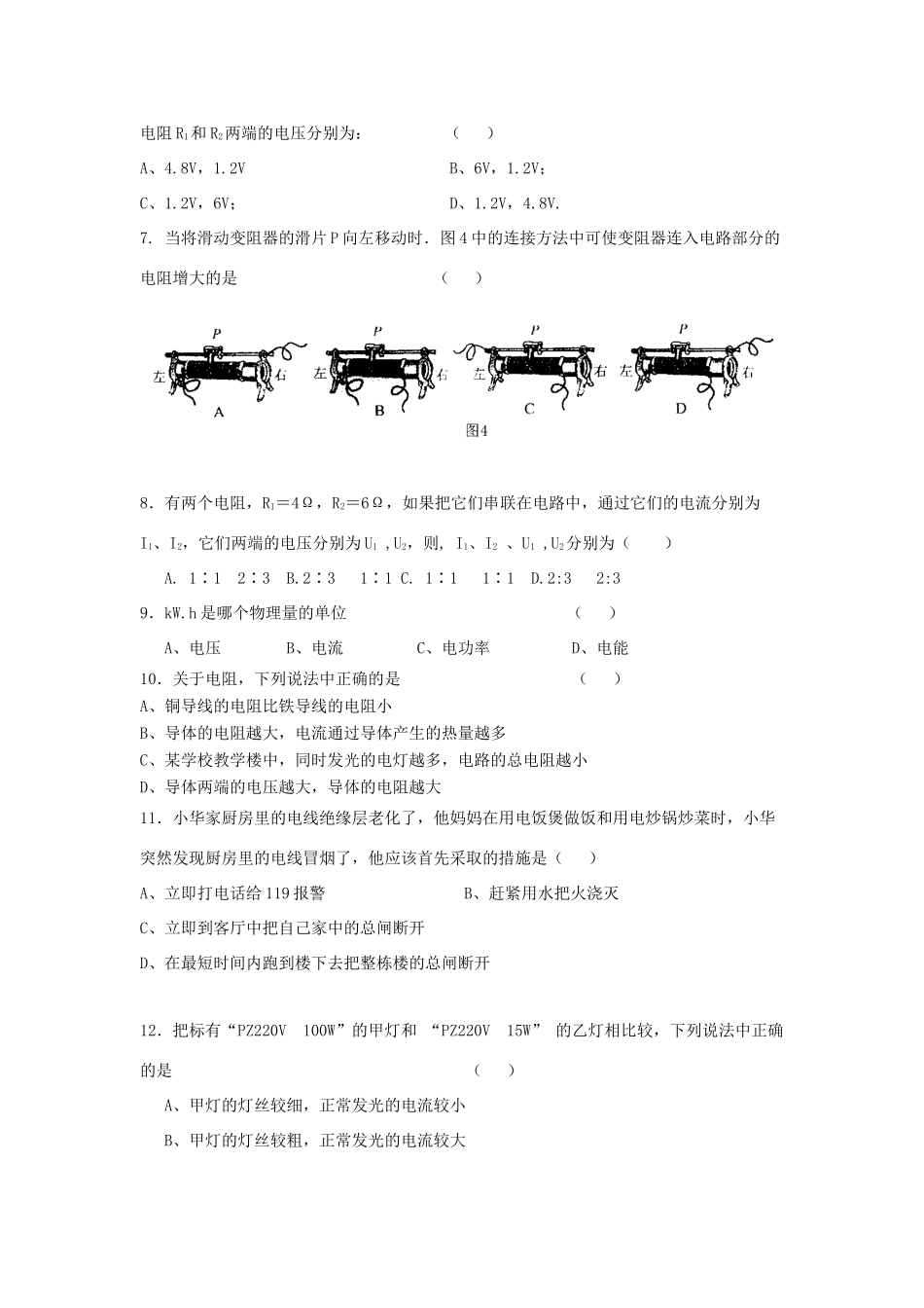 四川省盐边县八年级物理第二学期期中考试试卷 人教新课标版试卷_第2页