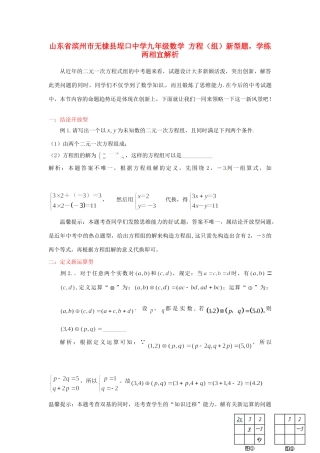 九年级数学 方程(组)新型题，学练两相宜解析试卷