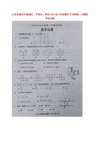 山东省德州市德城区、平原县、陵县九年级数学下学期第一次模拟考试试卷试卷