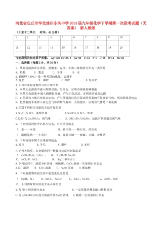 九年级化学下学期第一次段考试卷 新人教版试卷