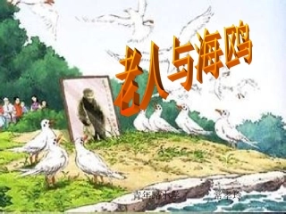 老人与海鸥课件