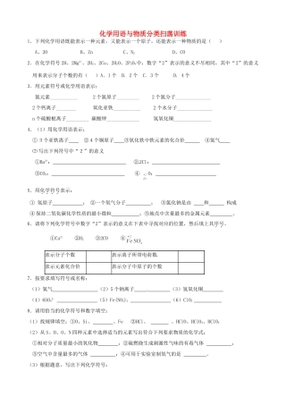 九年级化学 用语与物质分类扫荡训练试卷