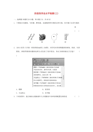 中考科学专题复习 阶段性学业水平检测(三)试卷