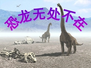 恐龙无处不有