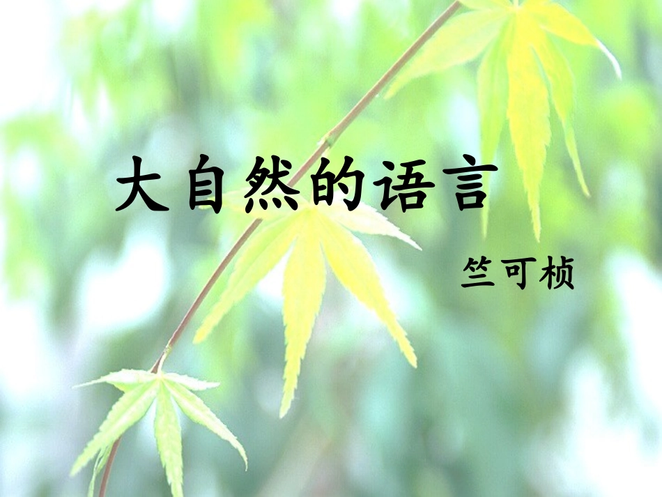 5大自然的语言-(2)_第2页