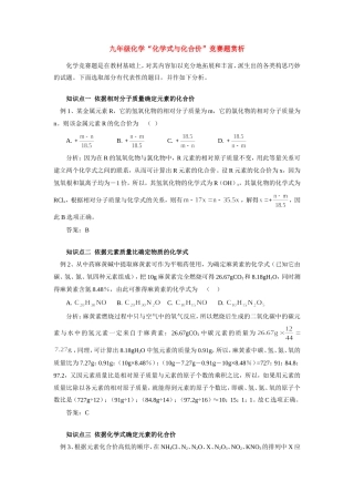 九年级化学 化学式与化合价 竞赛题赏析 学法指导试卷