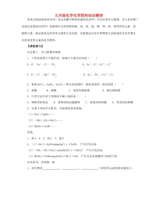 九年级化学化学肥料知识精讲试卷
