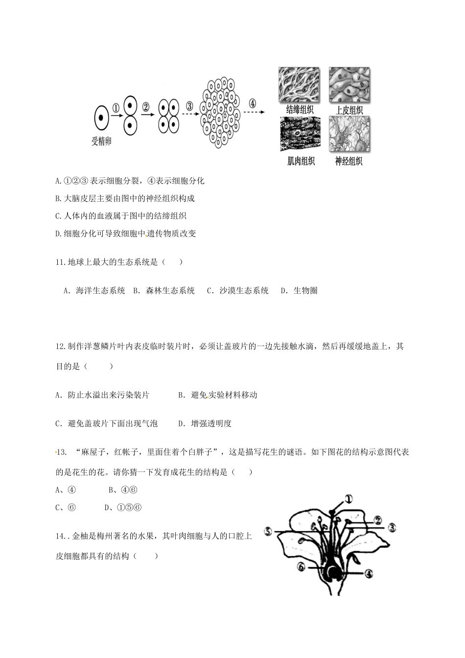 内蒙古翁牛特旗乌丹镇七年级生物上学期期末考试试题 新人教版 试题_第3页