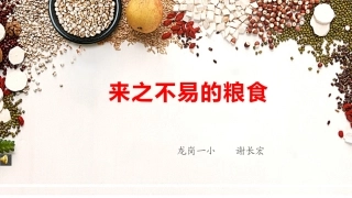 10.来之不易的粮食-(2)