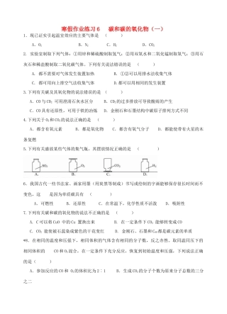 九年级寒假作业化学试卷(6) 新人教版试卷