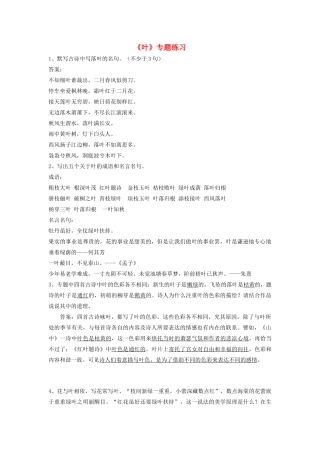 中考语文复习资料 专题综合实践 叶试卷