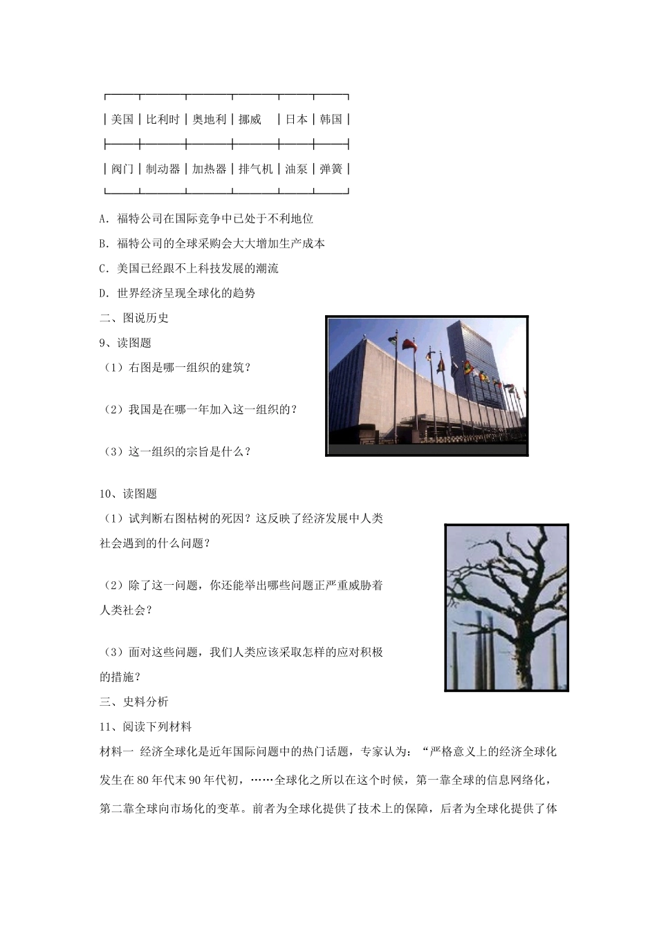 九年级历史下册 第四单元 和平与发展 第19课 共建 地球村 课时训练  北师大版试卷_第2页