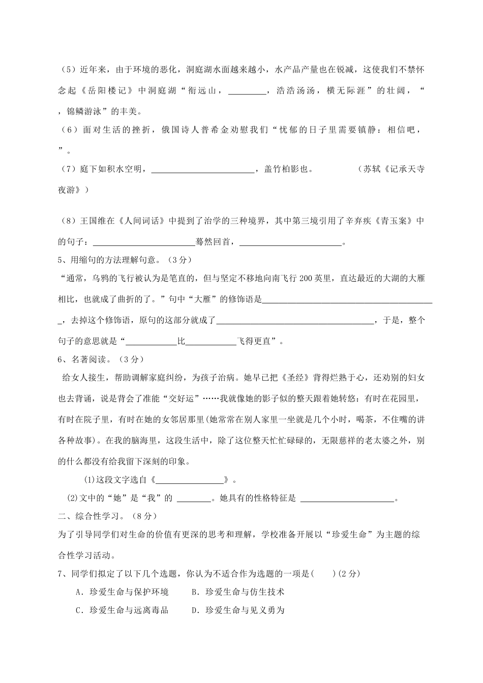 中考语文模拟试卷(七) 人教新课标版试卷_第2页