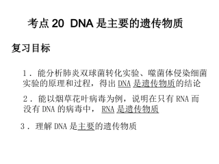 王锐利上课课件