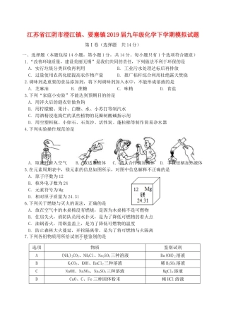 九年级化学下学期模拟试卷