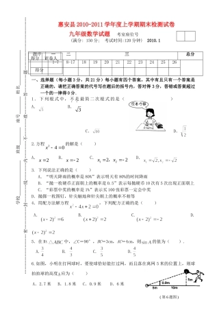九年级数学上学期期末水平测试 北师大版试卷