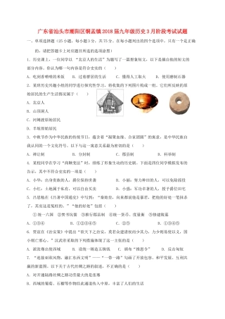 九年级历史3月阶段考试试卷