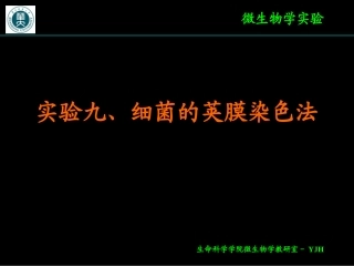实验九、细菌的荚膜染色