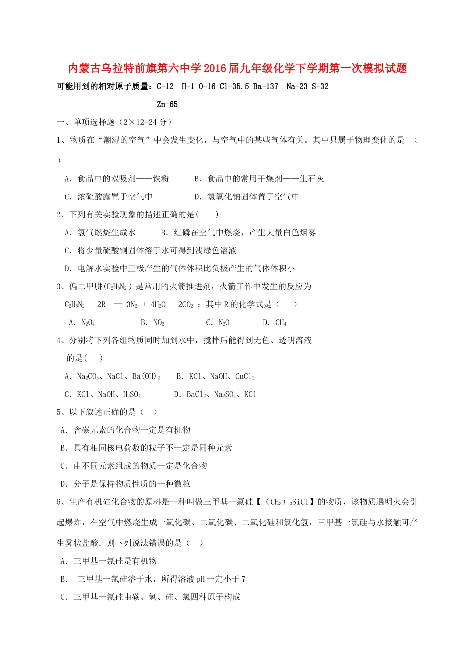 九年级化学下学期第一次模拟试卷试卷_第1页