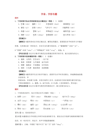 山东省13市中考语文试卷按考点分项汇编 字音、字形专题试卷